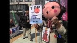 日本加入跨太平洋框架谈判 中国何去何从? 日本加入跨太平洋框架谈判 中国何去何从?