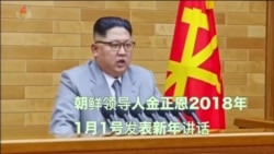 金正恩新年致辞穿浅灰衣服 韩专家称可能释放软化信号 金正恩新年致辞穿浅灰衣服 韩专家称可能释放软化信号