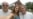 16x9 Image