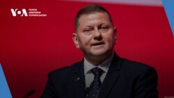 Час-Time. Залужний: Україна має бути в НАТО. Альянс не хоче війни з РФ Час-Time. Залужний: Україна має бути в НАТО. Альянс не хоче війни з РФ
