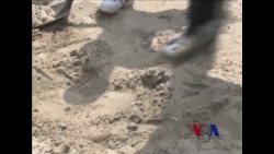 美青少年犯浪子回头 帮助桑迪飓风灾民 美青少年犯浪子回头 帮助桑迪飓风灾民