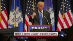 即将到来的总统初选或将巩固竞选领跑者地位 即将到来的总统初选或将巩固竞选领跑者地位