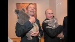 Путін не дочекався кінця саміту G20 Путін не дочекався кінця саміту G20