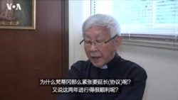 专访陈日君:梵蒂冈与中国续签临时协议或有政治目的 专访陈日君:梵蒂冈与中国续签临时协议或有政治目的