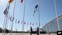 芬兰国旗升起在布鲁塞尔北约总部大厦前,与其他30个成员国的国旗一同飘扬。(2023年4月4日)