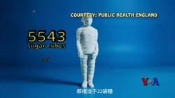 新手机监控应用程序显示糖分摄入量 新手机监控应用程序显示糖分摄入量
