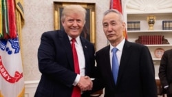 焦点对话:朝鲜变脸,中兴变调,川普是谈判高手还是菜鸟? 焦点对话:朝鲜变脸,中兴变调,川普是谈判高手还是菜鸟?