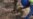 16x9 Image