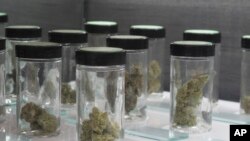 美国内华达州一个大麻医疗诊所里装有大麻样品的瓶子。(资料照片)