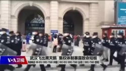 时事大家谈:武汉飞出黑天鹅,极权体制暴露致命短板? 时事大家谈:武汉飞出黑天鹅,极权体制暴露致命短板?