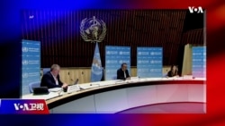时事大家谈:国药疫苗纳入全球分享 中国能兑现承诺吗?印度疫情延烧 东南亚疫情告急 时事大家谈:国药疫苗纳入全球分享 中国能兑现承诺吗?印度疫情延烧 东南亚疫情告急