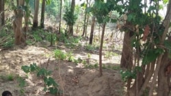 ကနီ ချောင်းမ အနောက်ရွာစာသင်ကျောင်း ဗုံးကြဲတိုက်ခိုက်ခံရ ကနီ ချောင်းမ အနောက်ရွာစာသင်ကျောင်း ဗုံးကြဲတိုက်ခိုက်ခံရ