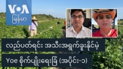 လည်ပတ်ရင်း အသီးအရွက်ခူးနိုင်မဲ့ Yoe စိုက်ပျိုးရေးခြံ (အပိုင်း-၁) လည်ပတ်ရင်း အသီးအရွက်ခူးနိုင်မဲ့ Yoe စိုက်ပျိုးရေးခြံ (အပိုင်း-၁)