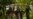16x9 Image