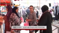 骚乱十周年 法国为被忽视的郊区寻找答案 骚乱十周年 法国为被忽视的郊区寻找答案