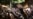 16x9 Image