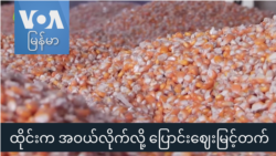 ထိုင်းက အဝယ်လိုက်လို့ ပြောင်းဈေးမြင့်တက် “လယ်ယာစီးပွားသတင်းများ” ထိုင်းက အဝယ်လိုက်လို့ ပြောင်းဈေးမြင့်တက် “လယ်ယာစီးပွားသတင်းများ”