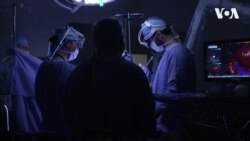Барвники, що допоможуть хірургам розпізнати ракові клітини. Відео Барвники, що допоможуть хірургам розпізнати ракові клітини. Відео