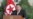 16x9 Image