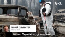Рай перетворився на пекло: ціле місто згоріло внаслідок лісових пожеж в Каліфорнії. Відео Рай перетворився на пекло: ціле місто згоріло внаслідок лісових пожеж в Каліфорнії. Відео