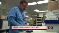 胡须里的细菌或帮助开发新抗生素 胡须里的细菌或帮助开发新抗生素
