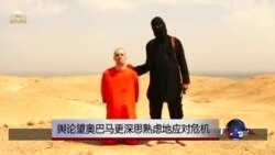 国际危机失控 舆论促奥巴马总统果断应对 国际危机失控 舆论促奥巴马总统果断应对