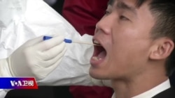 时事大家谈:越南发现混合变异病毒全球防疫更艰巨? 时事大家谈:越南发现混合变异病毒全球防疫更艰巨?