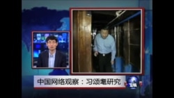 中国网络观察:习颂毛研究 中国网络观察:习颂毛研究