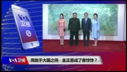 焦点对话:周旋于大国之间,金正恩成了香饽饽? 焦点对话:周旋于大国之间,金正恩成了香饽饽?