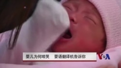 婴儿为何啼哭 婴语翻译机告诉你 婴儿为何啼哭 婴语翻译机告诉你