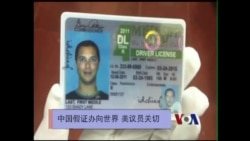 中国造美国驾照可以假乱真 两党议员关切 中国造美国驾照可以假乱真 两党议员关切
