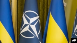 Документ закликає адміністрацію президента США до жорсткої політики, прокоментував експосол США в Україні, аналітик Атлантичної ради Джон Гербст