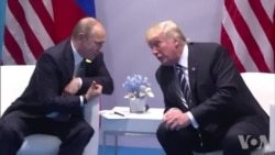 自由之家:特朗普是美国民主的威胁 自由之家:特朗普是美国民主的威胁