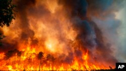 2022年7月16日,法国西南地区的兰迪拉斯附近猛烈燃烧的野火。强风、高温以及干燥的空气使法国救火人员的努力一再受挫。本照片由法国吉伦特地区救火队拍摄。美联社提供。