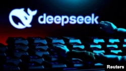 资料照片:DeepSeek标识。