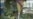 16x9 Image