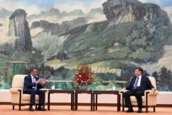 中国国家主席习近平在北京人大会堂会见到访的世卫组织总干事谭德塞。(2020年1月28日)