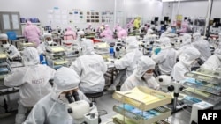 资料照:中国江苏省淮安的一个半导体工厂的工人正在制作LED芯片。(2020年6月16日)