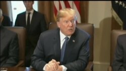 Президент США розпорядився негайно почати процес закриття лотереї «Зелена Картка». Відео Президент США розпорядився негайно почати процес закриття лотереї «Зелена Картка». Відео