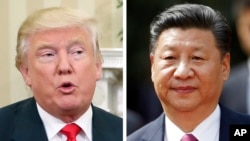 美国当选总统川普(左图)和中国主席习近平(右图)