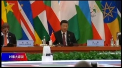 时事大家谈:中非论坛:600亿美元筑起的命运共同体? 时事大家谈:中非论坛:600亿美元筑起的命运共同体?