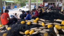 ဆီဈေးတက်လို့ ထိုင်းငါးဖမ်းလုပ်ငန်းက မြန်မာအလုပ်သမားတွေ အလုပ်အကိုင်ဆုံးရှုံး
 ဆီဈေးတက်လို့ ထိုင်းငါးဖမ်းလုပ်ငန်းက မြန်မာအလုပ်သမားတွေ အလုပ်အကိုင်ဆုံးရှုံး
