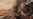16x9 Image