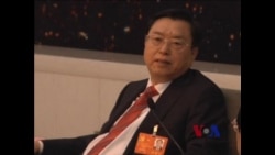 薄熙来继任者张德江:不存在什么重庆模式 薄熙来继任者张德江:不存在什么重庆模式