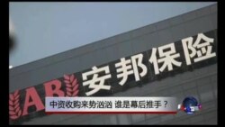 时事大家谈:中资收购来势汹汹,谁是幕后推手? 时事大家谈:中资收购来势汹汹,谁是幕后推手?