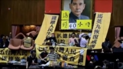 纽约异议人士:“服贸”的实质是统合台湾 纽约异议人士:“服贸”的实质是统合台湾