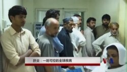 肝炎:一场可控的全球疾病 肝炎:一场可控的全球疾病