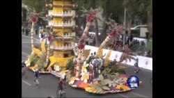 玫瑰花车驱散冬寒迎新年 玫瑰花车驱散冬寒迎新年