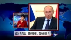 焦点对话:应对乌克兰,普京强硬,西方软弱? 焦点对话:应对乌克兰,普京强硬,西方软弱?