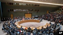 美国国务卿蒂勒森在联合国安理会会议期间谈论朝鲜局势。(2017年12月15日)